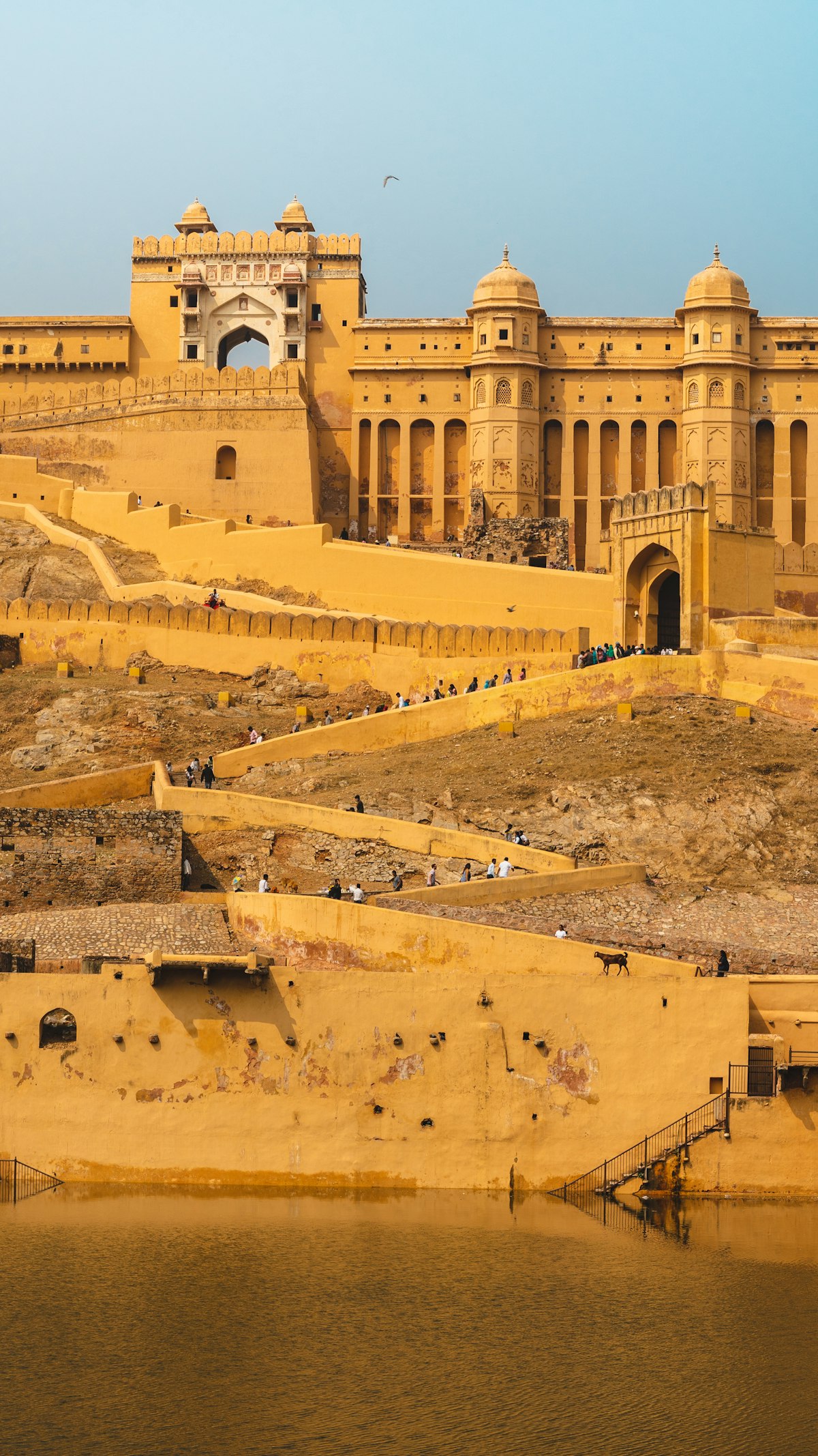 Jaipur Pink City & Royal Forts Tour