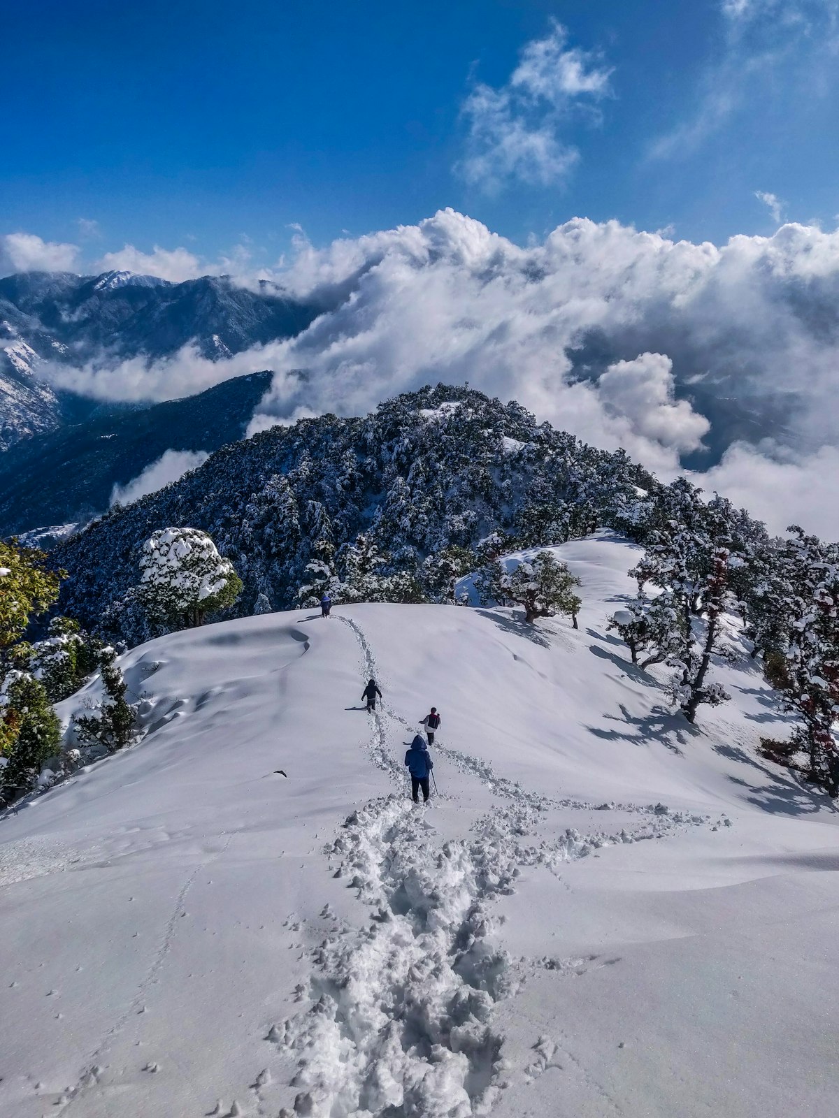 Manali & Solang Valley Snow Circuits